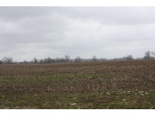 Property photo 3 - 438 +/- Acres Offered in 10 Tracts - Metcalf Farms - 6PM CST